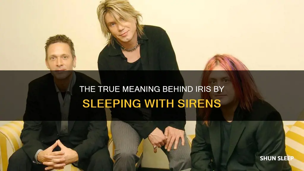 what does the song iris by sleeping with sirens mean