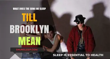 Exploring Beastie Boys' "No Sleep Till Brooklyn