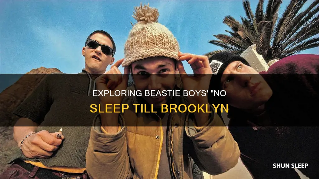 what does the song no sleep till brooklyn mean