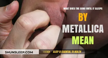 The True Meaning Behind Metallica's 'Until It Sleeps