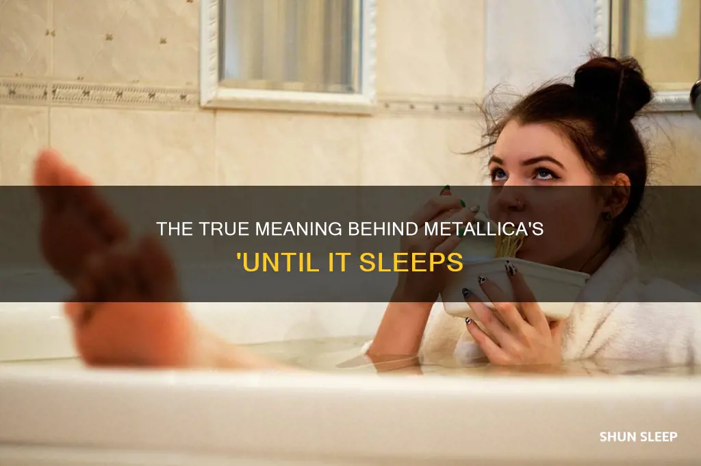 what does the song until it sleeps by metallica mean
