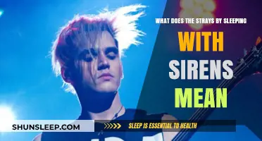 The Strays: Sleeping with Sirens' Song Meaning Explored
