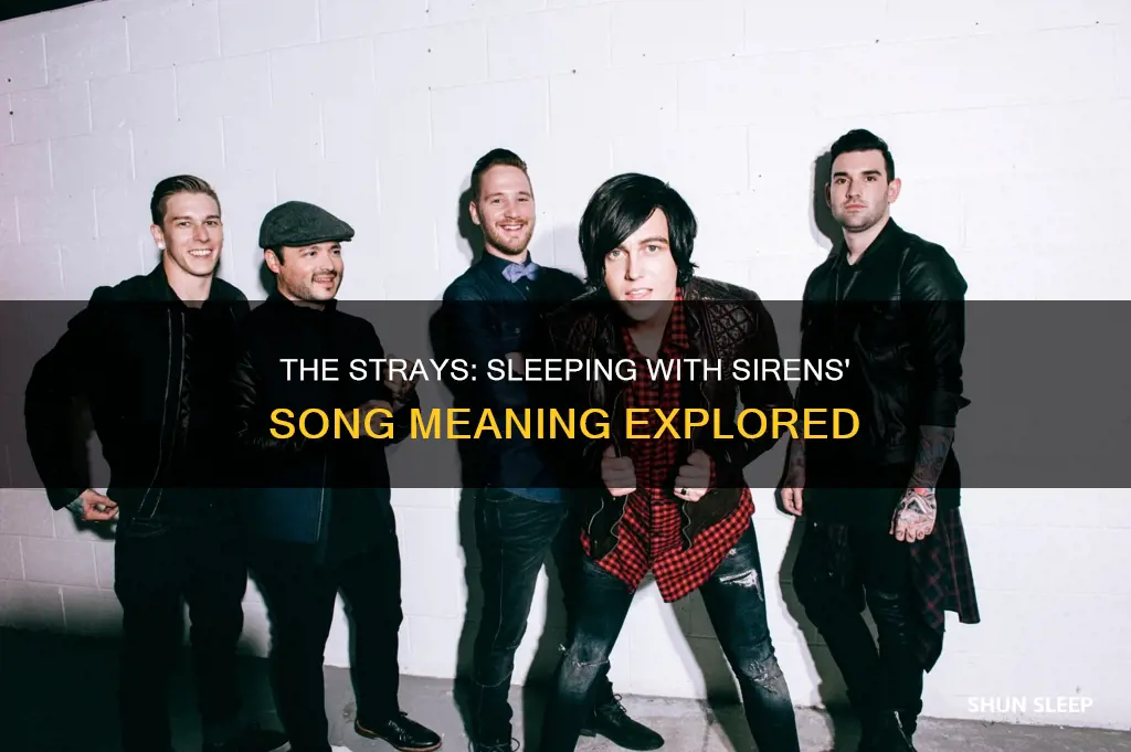 what does the strays by sleeping with sirens mean