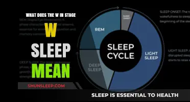 The W in Stage W Sleep: What Does it Mean?