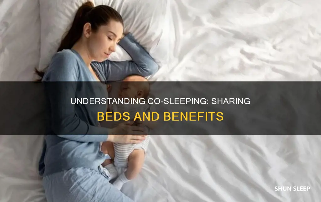 what does the word co-sleeping mean