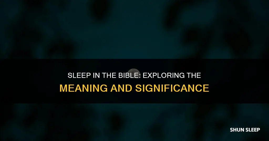 what does the word sleep mean in the bible