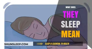 The Science of Sleep: What Does It Mean?