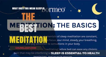 Sleep: The Ultimate Meditation