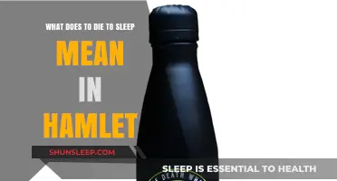 Hamlet's Sleep and Death: Exploring the Metaphor