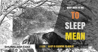 Exploring "To Die, To Sleep": The Eternal Rest Metaphor