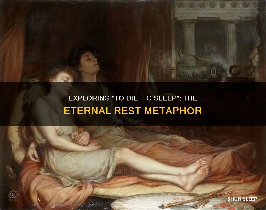 what does to die to sleep mean