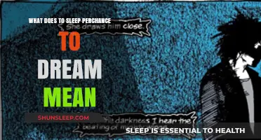 Understanding Sleep: Dreams and Their Meanings Explained