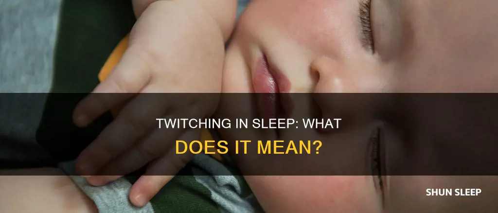 what does twitch in sleep mean