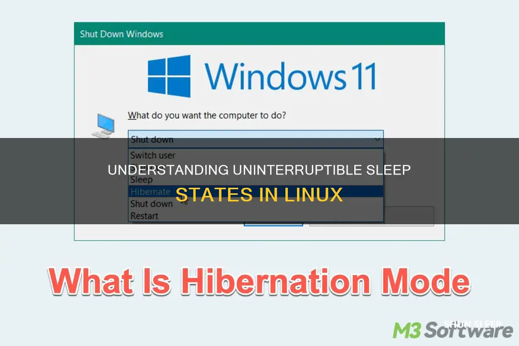 what does uninterruptible sleep mean linux