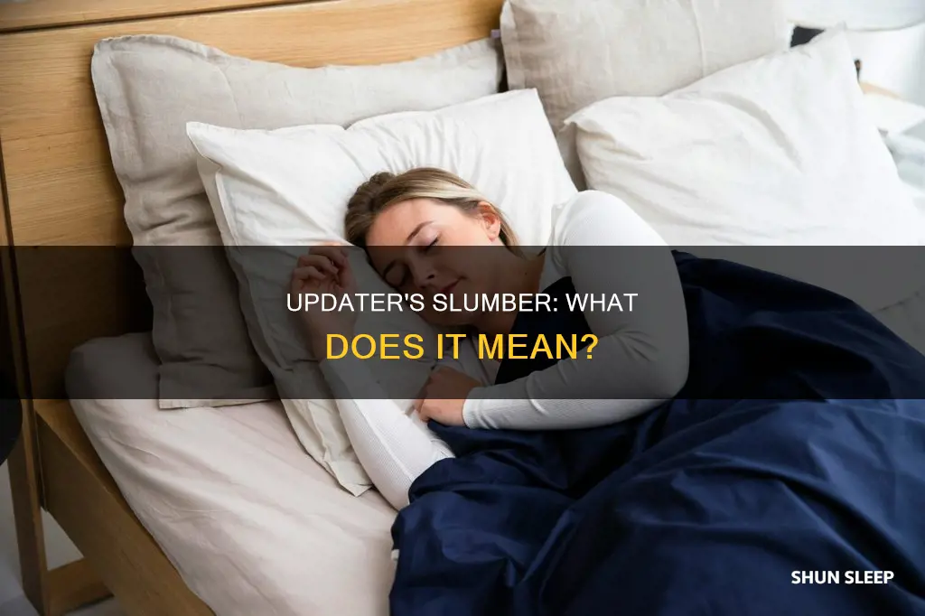what does updater sleeping mean