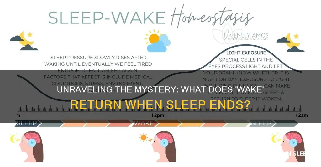 what does wake leave return sleep