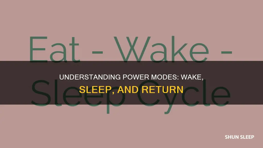what does wake leave return sleep