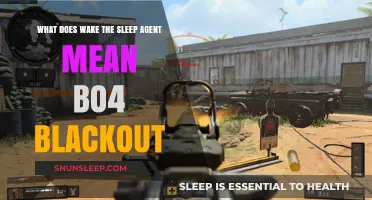 Blackout's Secret: Waking the Sleep Agent in BO4