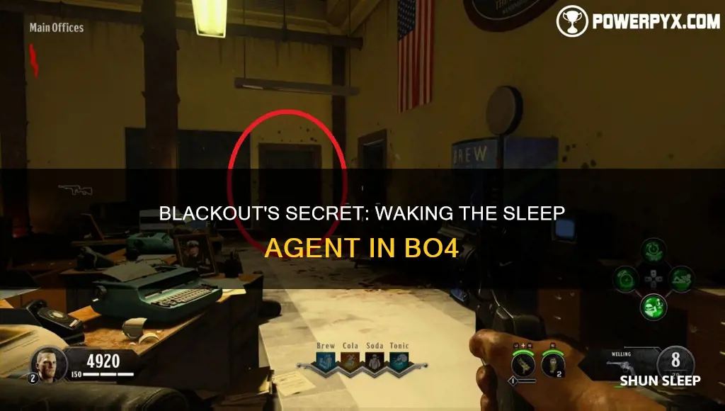 what does wake the sleep agent mean bo4 blackout