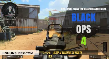 Unlocking the Mystery: Waking the Sleeper Agent in Black Ops 4