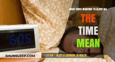 Sleep: Why Do I Want It All the Time?