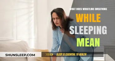 Whistling Breath: What Your Sleep Sounds May Indicate