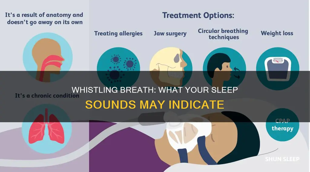 what does whistling breathing while sleeping mean