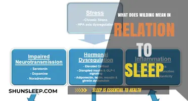 Wilding: The Art of Sleeping Like a Beast