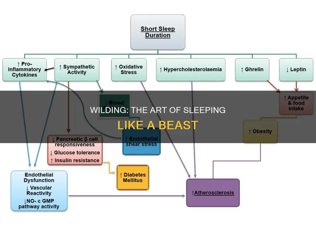 what does wilding mean in relation to sleep