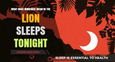 The Real Meaning of 'Wimoweh' in 'The Lion Sleeps Tonight