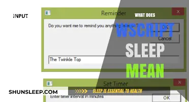 Understanding WScript Sleep: A Beginner's Guide