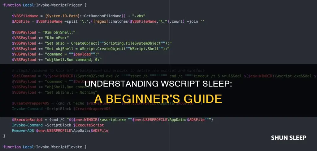 what does wscript sleep mean