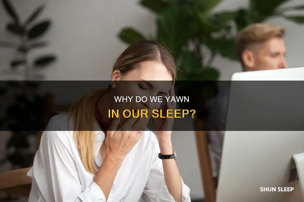 what does yawning in your sleep mean