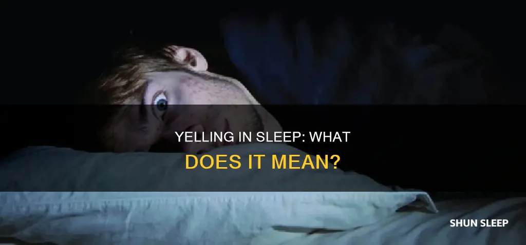 what does yelling in your sleep mean