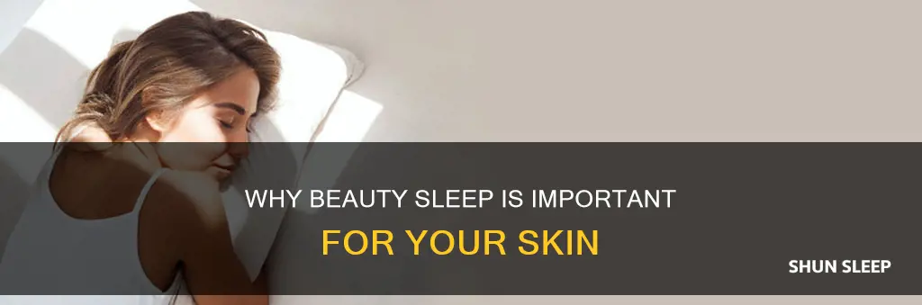 what does you need your beauty sleep mean