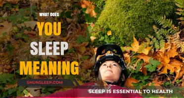 Dreaming: What Your Sleep Really Means