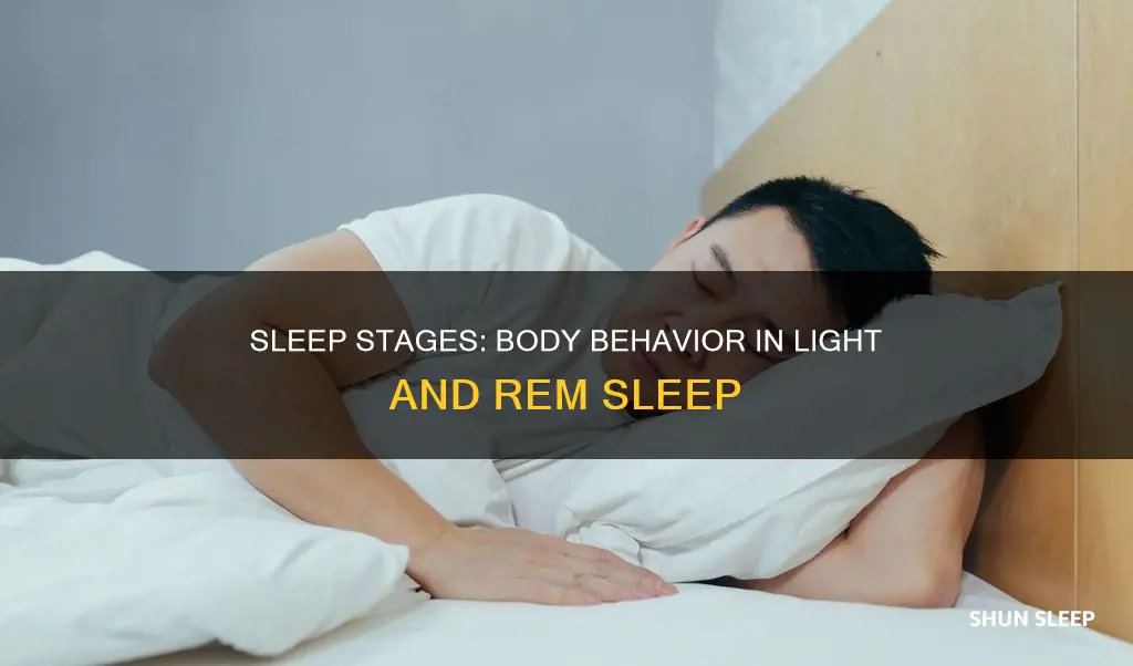 what does your body do in light and rem sleep