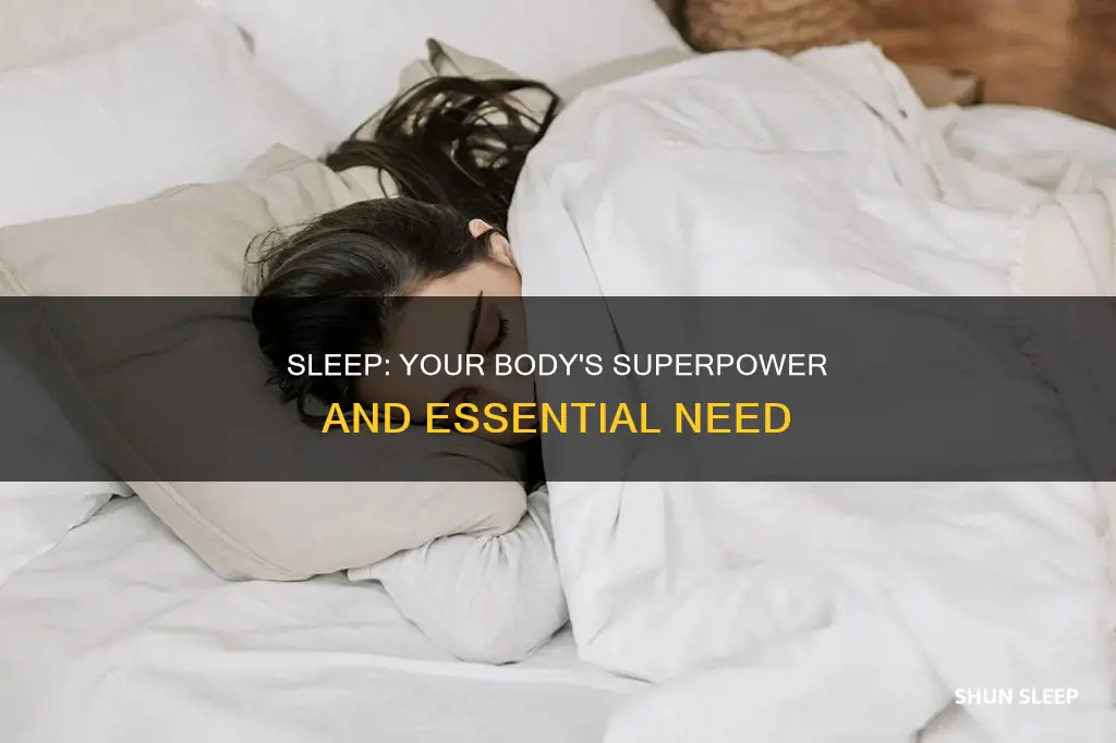 what does your body need sleep for
