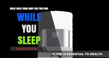 How Your Body Fuels Itself While You Sleep