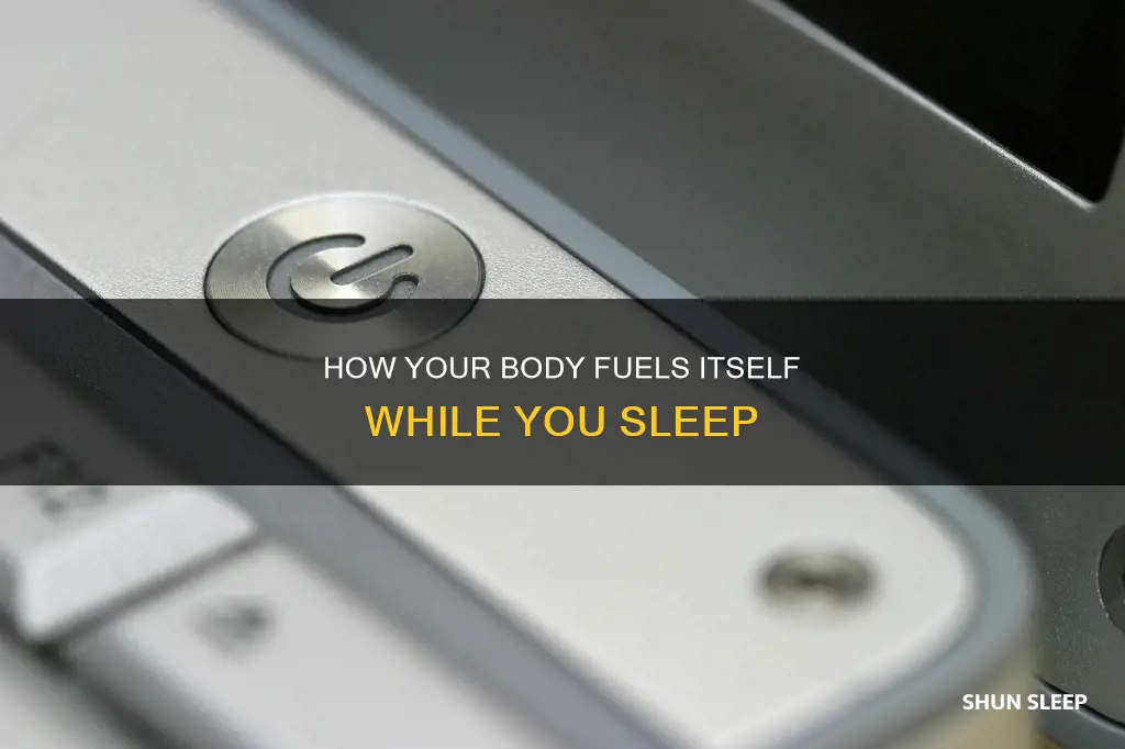 what does your body use for fuel while you sleep