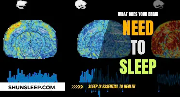 Brain's Sleep Needs: Unlocking the Science of Slumber
