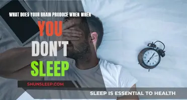 Brain on No Sleep: The Mystery of Sleep Deprivation