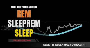 Heart Activity During REM Sleep: Explained