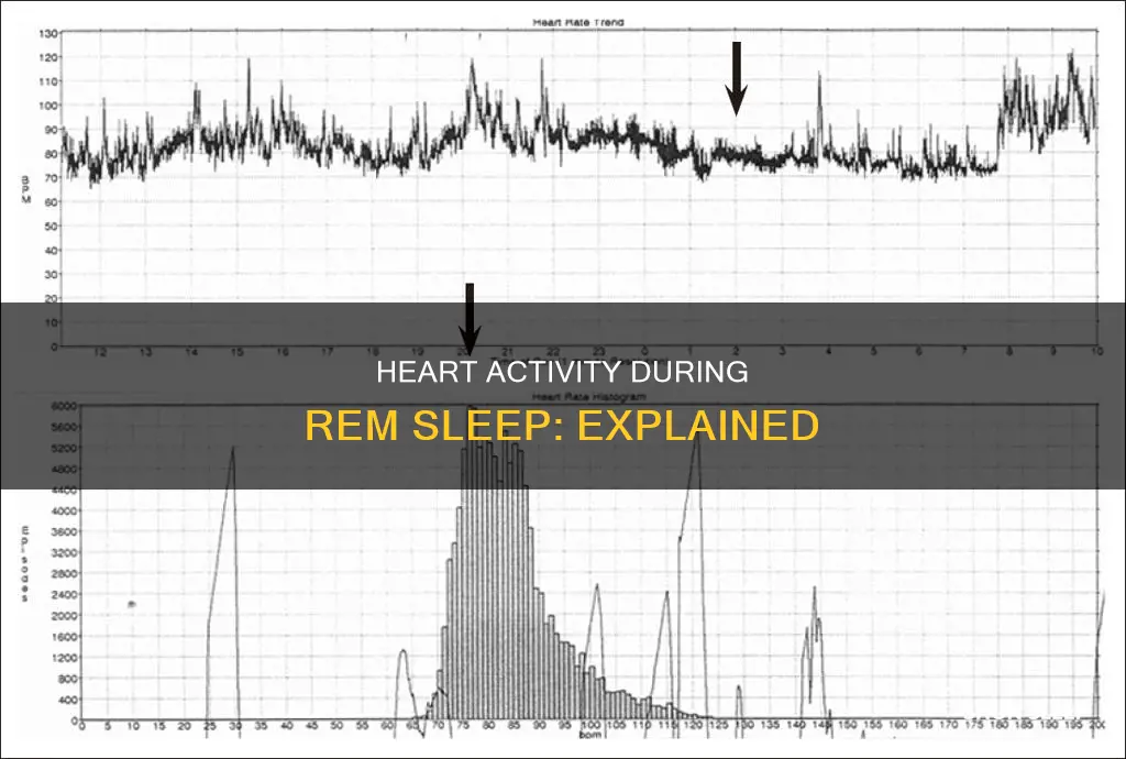 what does your heart do in rem sleeprem sleep