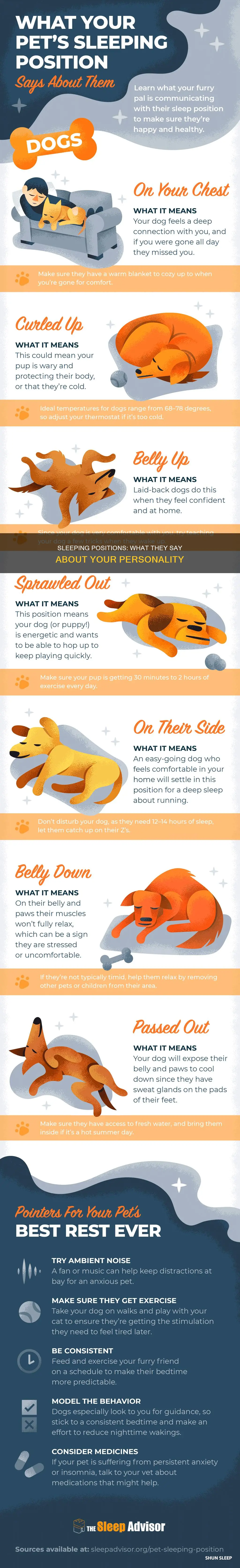 what does your sleeping position mean about you