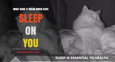 Why Cats Sleep on You: Understanding Their Behavior