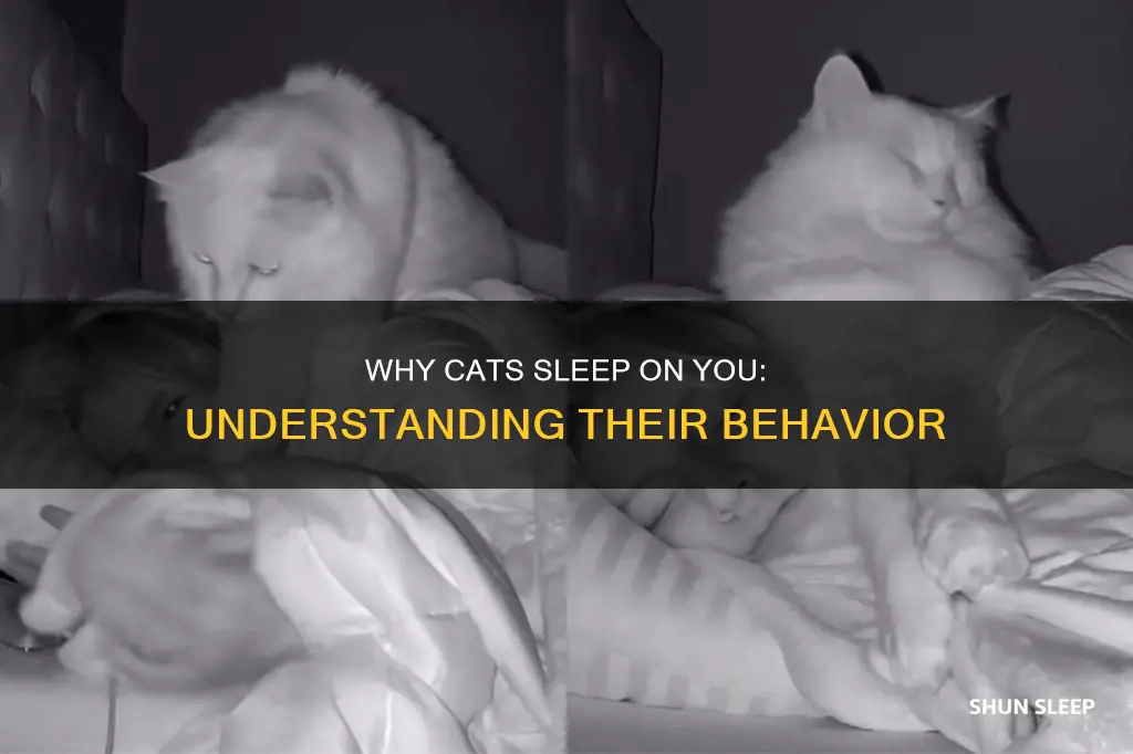 what dose it mean when cays sleep on you