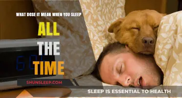 Why Am I Sleeping All the Time?