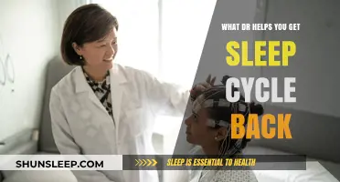 Regain Restful Nights: Which Doctor Can Reset Your Sleep Cycle?