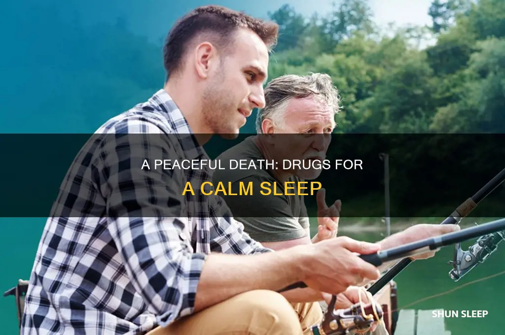 what drugs to take to die in your sleep